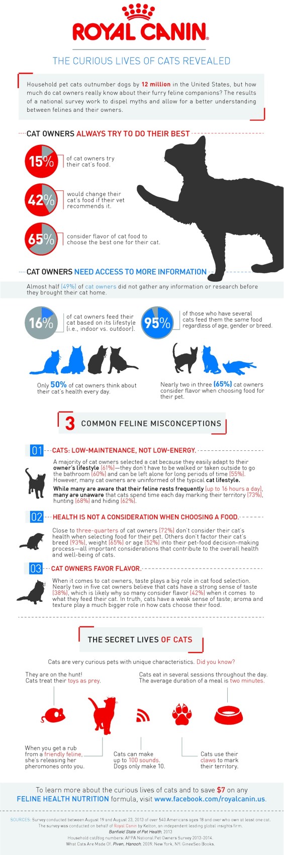 Curious Lives of Cats Infographic