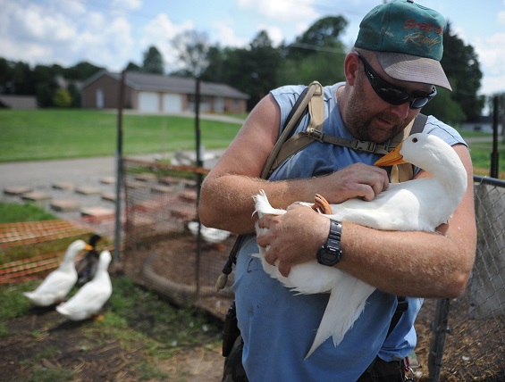 An Iraq War veteran is worried about losing his therapeutic ducks