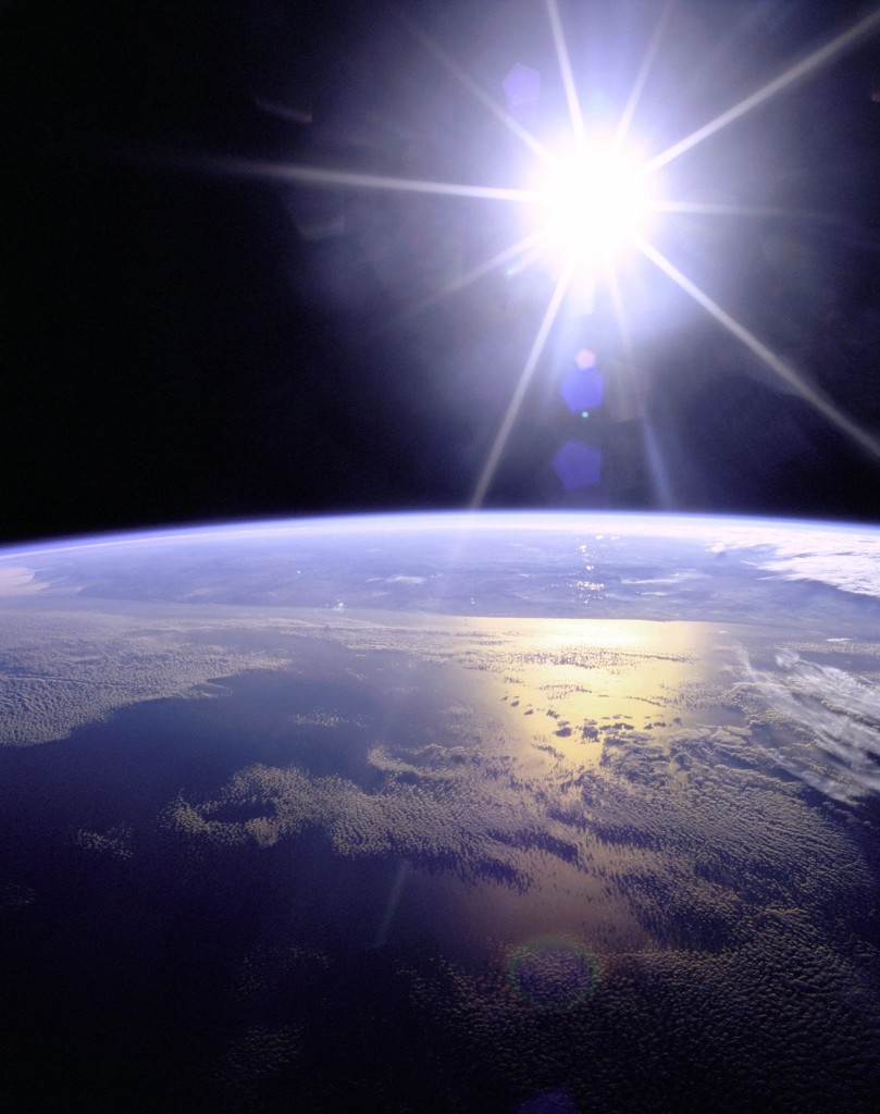 Earth might be in the early stage of a sixth mass-extinction