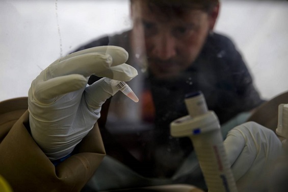 Canada is donating its own Ebola vaccines to the WHO for use in Africa