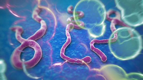US has faced 68 Ebola scares in the last three weeks