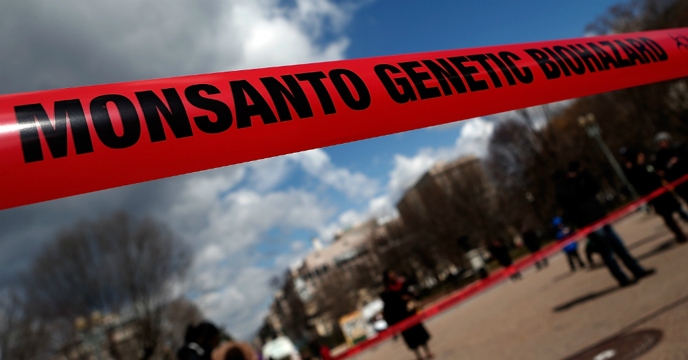 Monsanto may have no problem defeating anti-trust claims