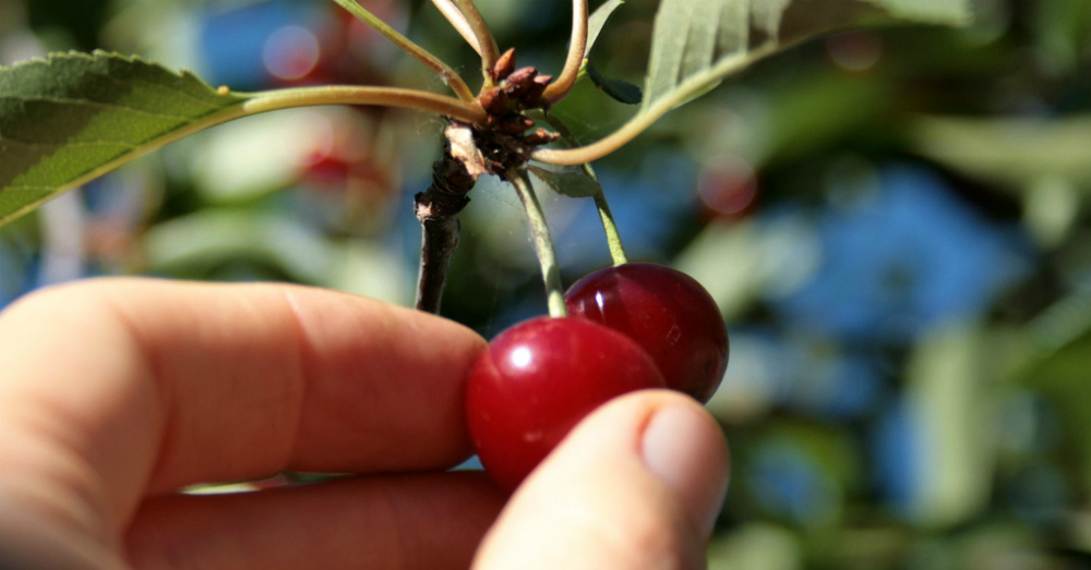 Do you cherry-pick your customers or do you want them all?