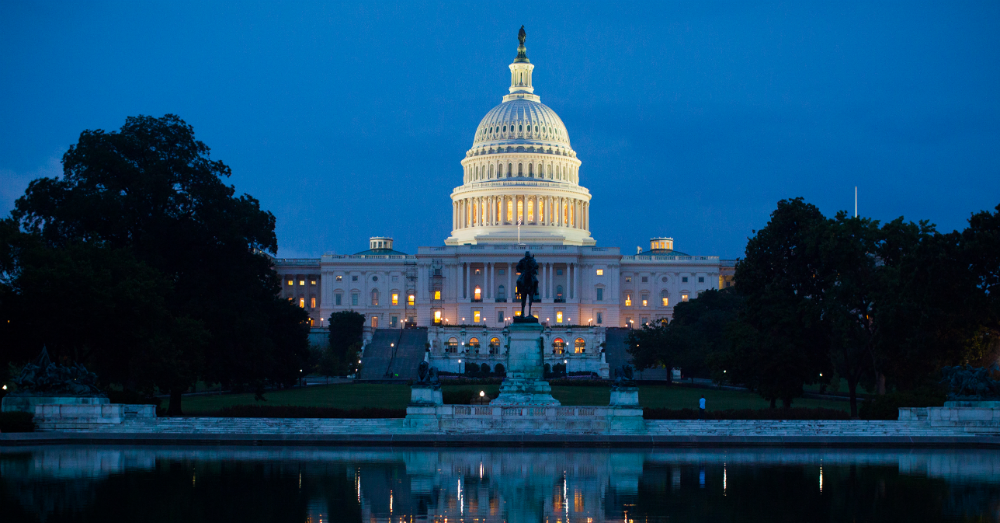 5 Things To Do With Kids in Washington D.C.