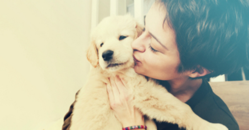 Best Dog Breeds for First-Time Dog Owners
