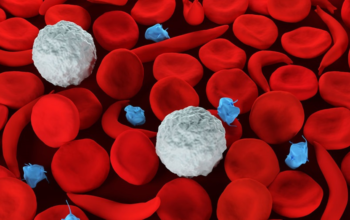 What is Sickle Cell Disease?