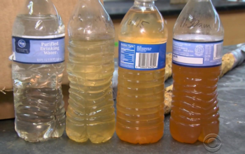 Catching Up on the Flint Water Crisis and its Effects