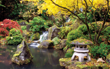 The Beauty of Flowers Around the United States