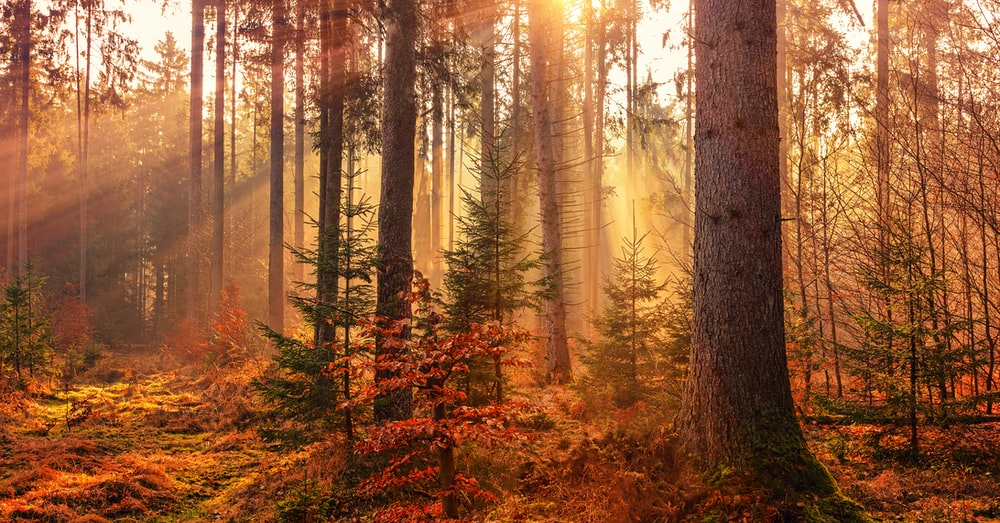 Things that Should Be On Your Fall Bucket List?