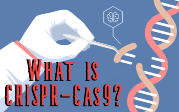 CRISPR and Other Kinds of Gene Editing