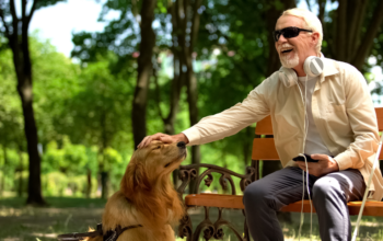 These Brain Implants Give Sight to the Blind