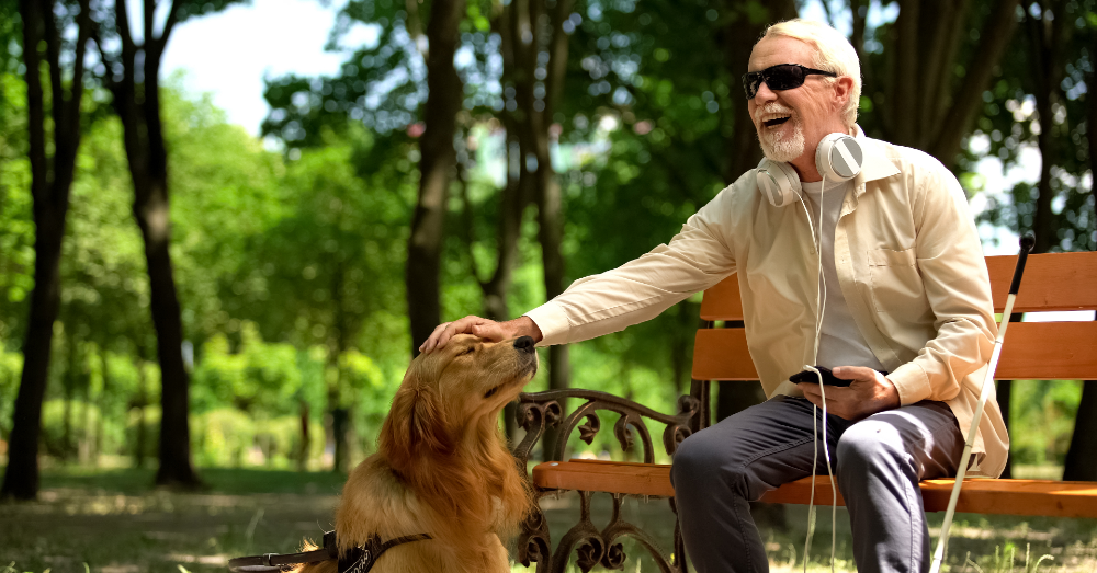 These Brain Implants Give Sight to the Blind