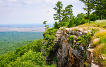 You Could Have a Wonderful Vacation in Arkansas