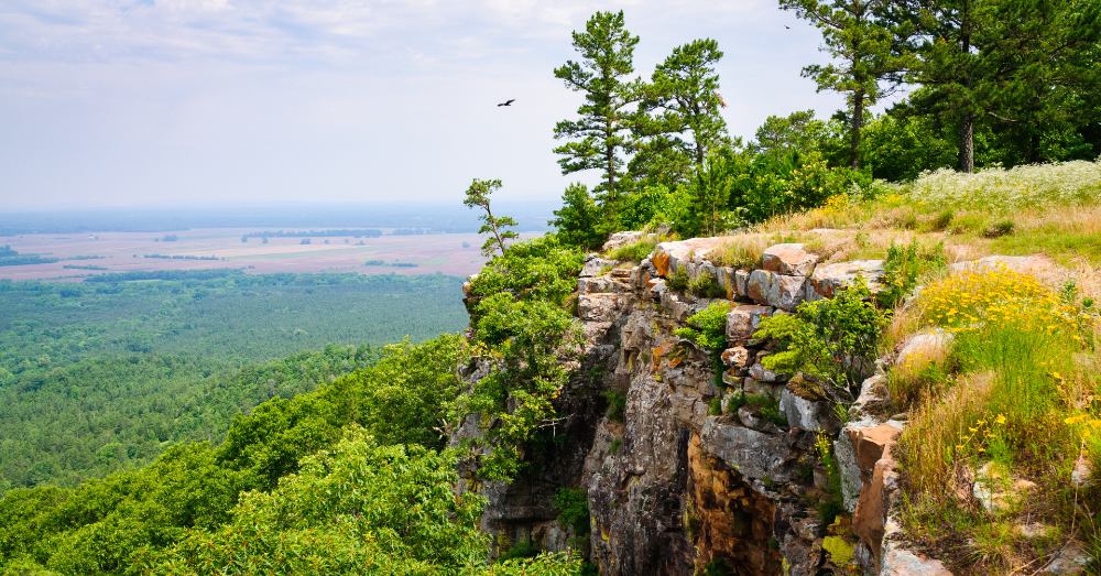 You Could Have a Wonderful Vacation in Arkansas