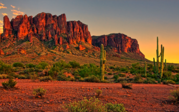 Head to the Desert and Enjoy a Vacation in Phoenix