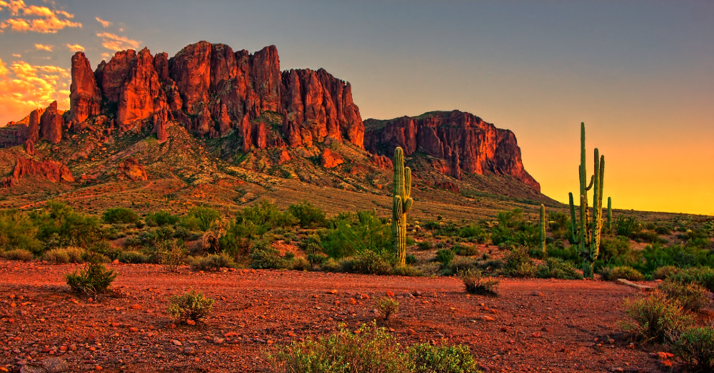 Head to the Desert and Enjoy a Vacation in Phoenix