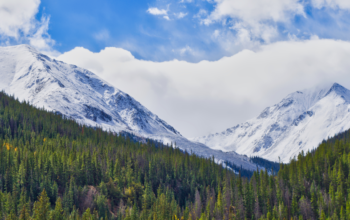 The Mountain Vacation You Desire Awaits You In Denver, Colorado