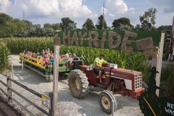 Corn Cob Acres: Field of Fun