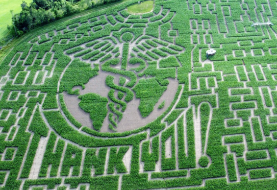 The Great Vermont Corn Maze