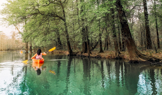 Big Thicket