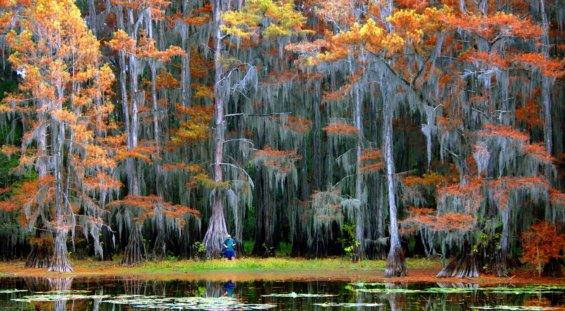 Lake Caddo