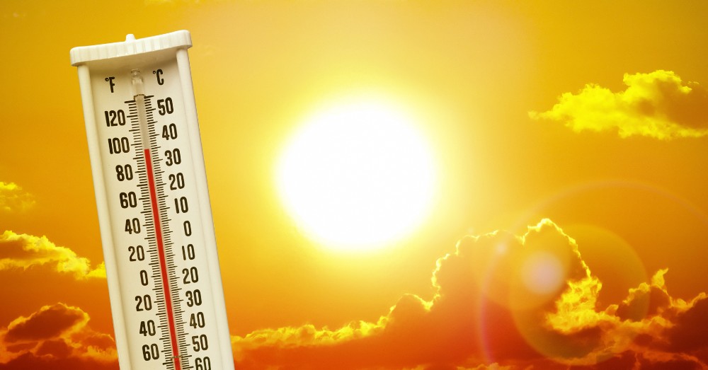 It’s Hot out There: The UK Heatwave Creates Unbearable Temperatures
