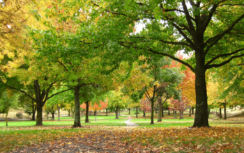 5 Places For Nature Lovers Near Indianapolis