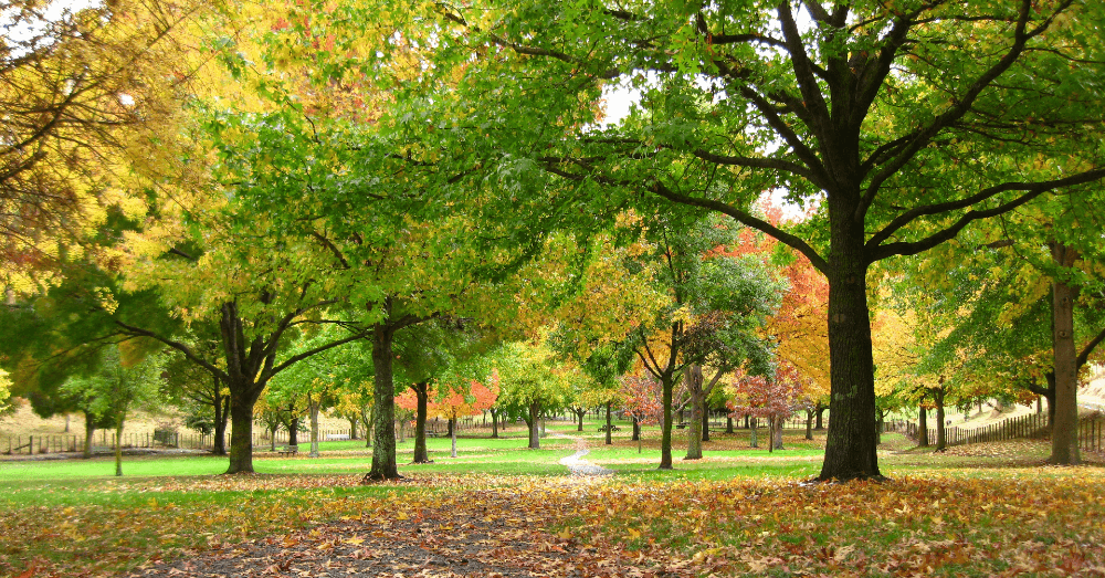 5-places-for-nature-lovers-near-indianapolis-banner