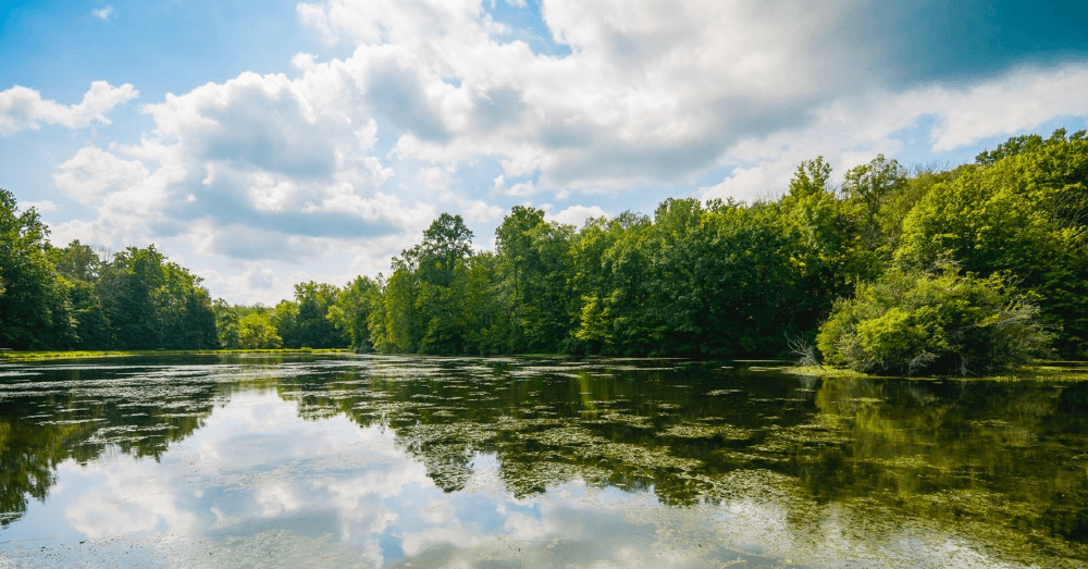 5-places-for-nature-lovers-near-indianapolis-eagle-creek-park