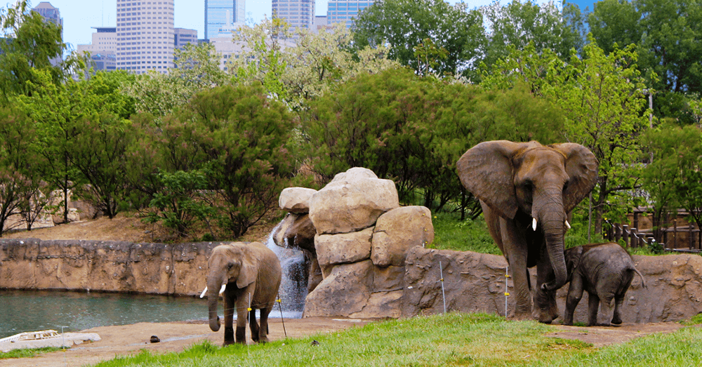5-places-for-nature-lovers-near-indianapolis-indianapolis-zoo
