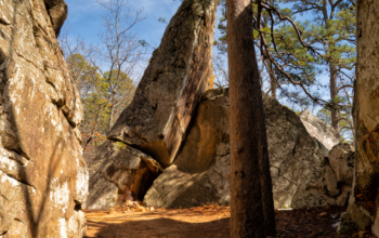 Head to Billings, Montana for a Different Type of Vacation
