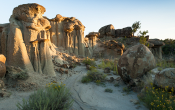 10 Must Visit State Parks