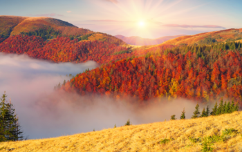 10 Places in the U.S. to See Epic Fall Colors