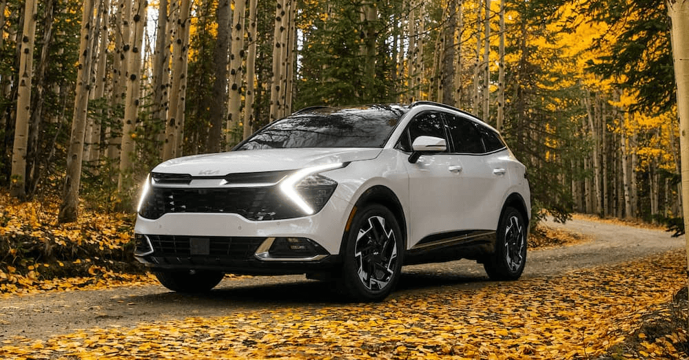 looking-to-lease-a-vehicle-before-rates-increase-in-the-new-year-here-are-the-top-3-cars-to-lease-in-2022-kia-sportage