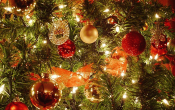 Should you Still Buy a Real Christmas Tree?