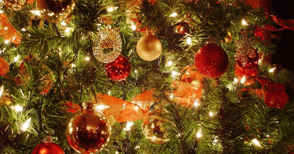 should-you-still-buy-a-real-christmas-tree-banner