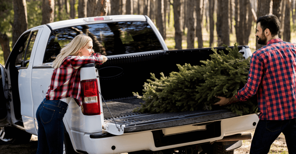 should-you-still-buy-a-real-christmas-tree-couple-tree-fordf150