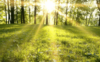 5 Great Hobbies to Get You Outdoors and Moving Any Time of Year