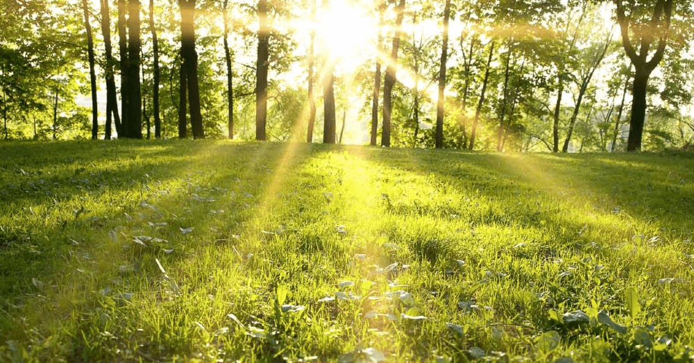 5-great-hobbies-to-get-you-outdoors-and-moving-any-time-of-year-banner