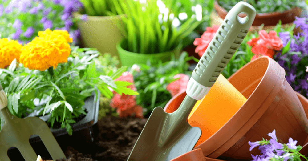 5-great-hobbies-to-get-you-outdoors-and-moving-any-time-of-year-gardening
