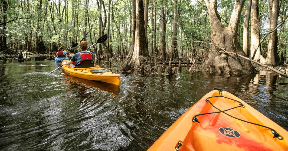 5-great-hobbies-to-get-you-outdoors-and-moving-any-time-of-year-kayaking