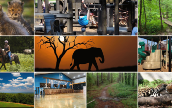 Get in Touch with Nature by Visiting These 10 Hidden Gems in East Texas