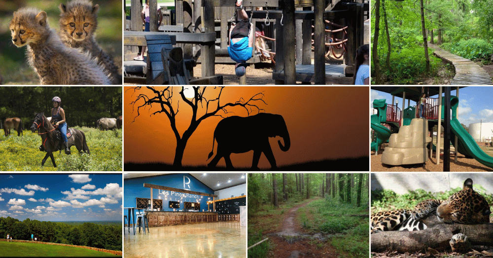 get-in-touch-with-nature-by-visiting-these-10-hidden-gems-in-east-texas-banner