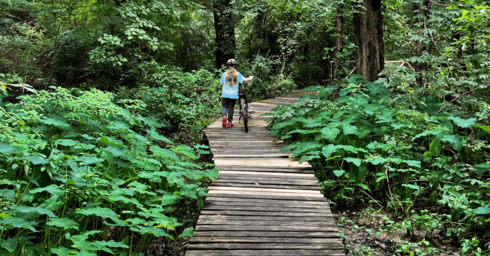 get-in-touch-with-nature-by-visiting-these-10-hidden-gems-in-east-texas-bringle-lake-trail
