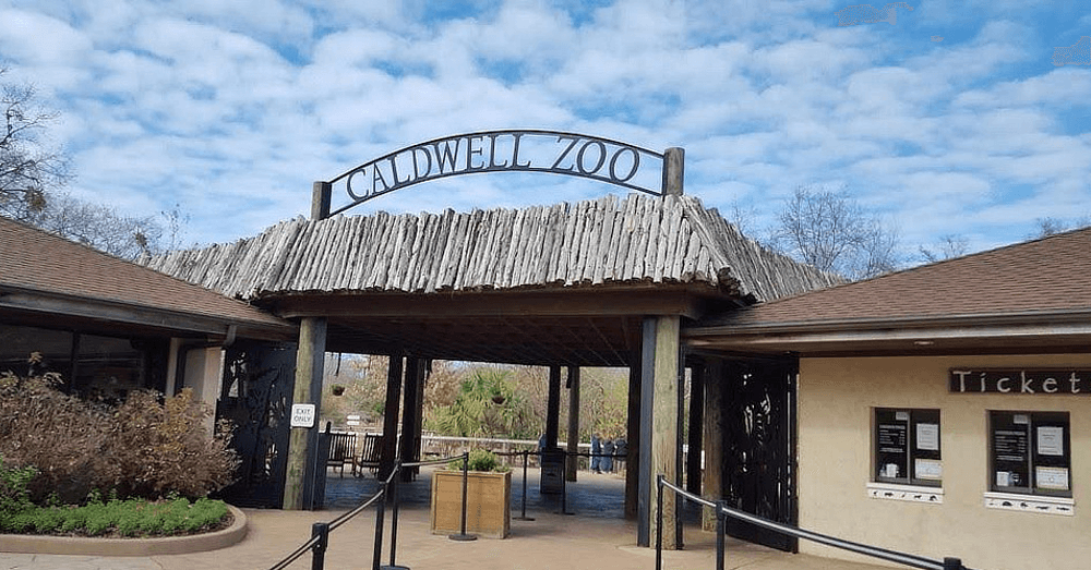 get-in-touch-with-nature-by-visiting-these-10-hidden-gems-in-east-texas-caldwell-zoo