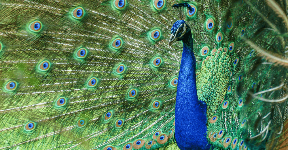 get-in-touch-with-nature-by-visiting-these-10-hidden-gems-in-east-texas-ellen-trout-zoo