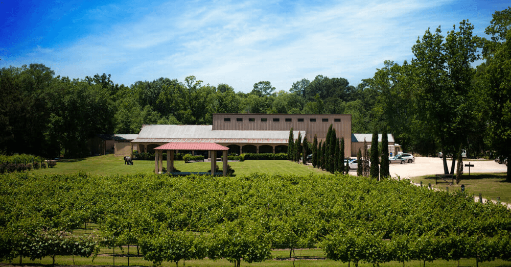 get-in-touch-with-nature-by-visiting-these-10-hidden-gems-in-east-texas-los-pinos-ranch-vineyards