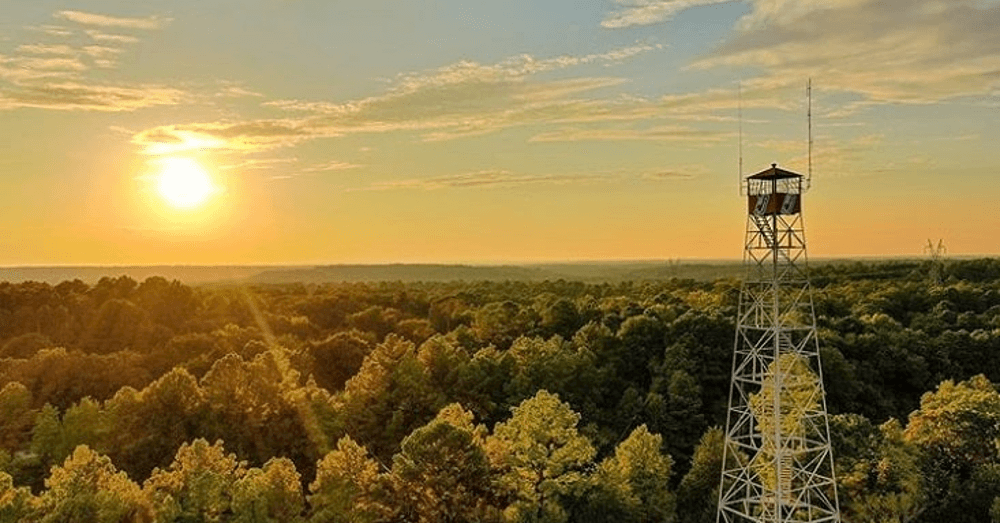 get-in-touch-with-nature-by-visitingz-these-10-hidden-gems-in-east-texas-loves-lookout