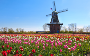 Top 7 Spring Destinations in the United States