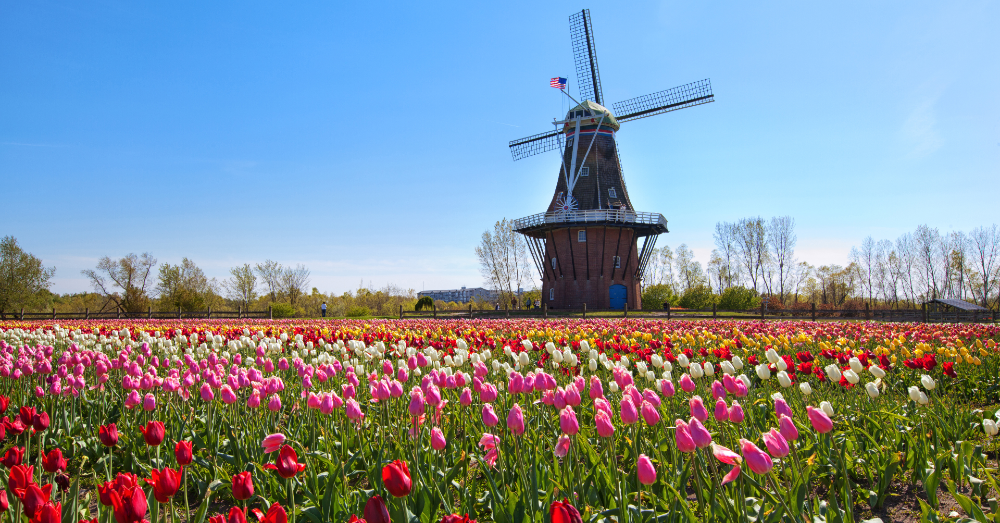 Top 7 Spring Destinations in the United States